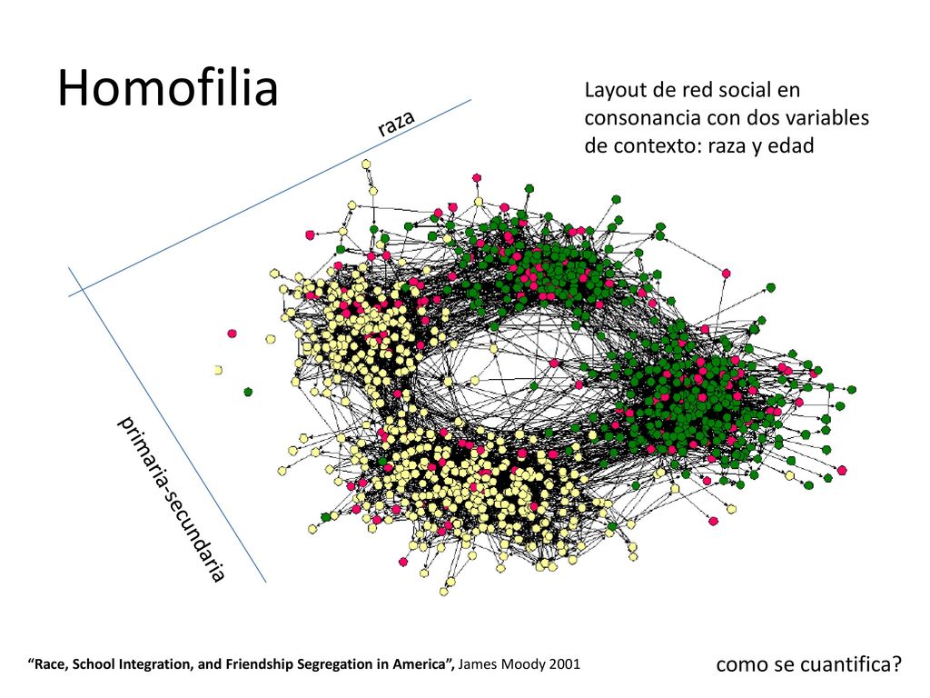 Homofilia Layout de red social en consonancia con dos variables de contexto: raza y edad. raza. 4 clusters (posiblemente con estructura interna)