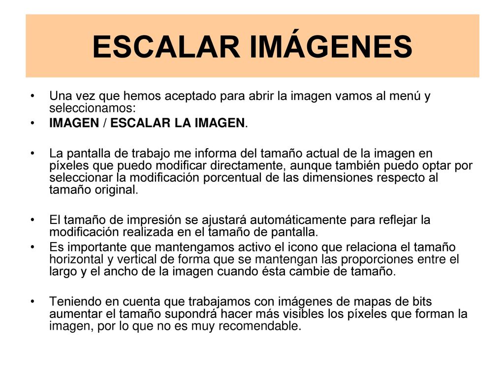 ESCALAR IMÁGENES Una vez que hemos aceptado para abrir la imagen vamos al menú y seleccionamos: IMAGEN / ESCALAR LA IMAGEN.