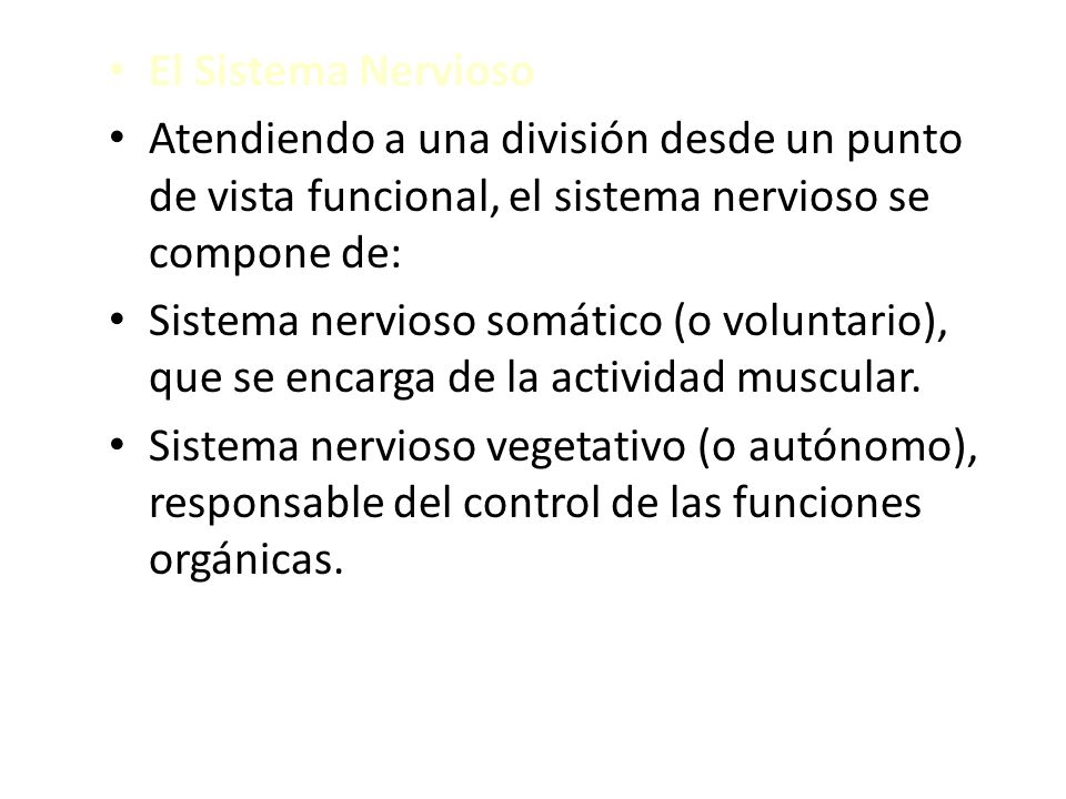 El Sistema Nervioso Atendiendo a una división desde un punto de vista funcional, el sistema nervioso se compone de: