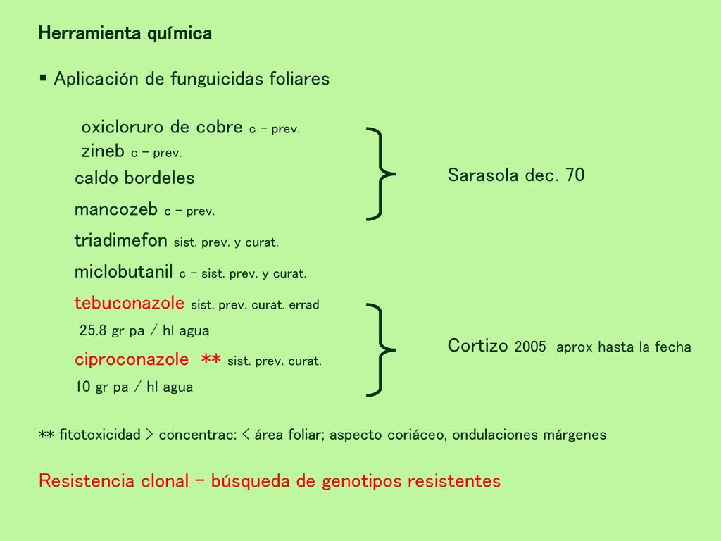 Aplicación de funguicidas foliares oxicloruro de cobre c – prev.
