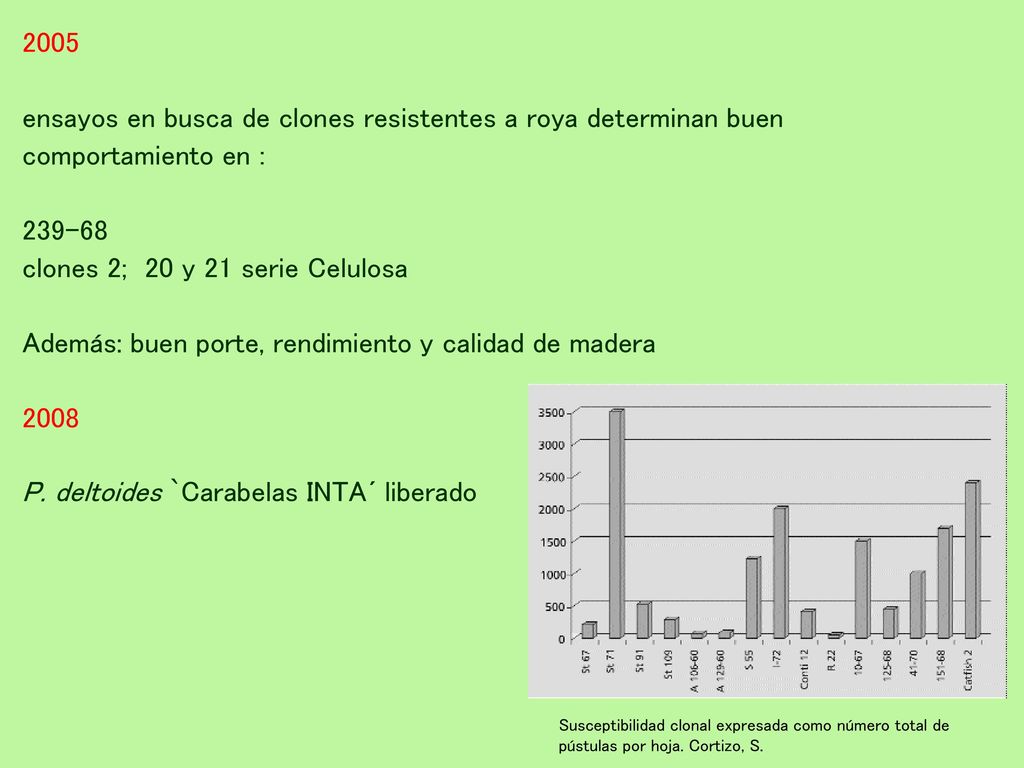 ensayos en busca de clones resistentes a roya determinan buen