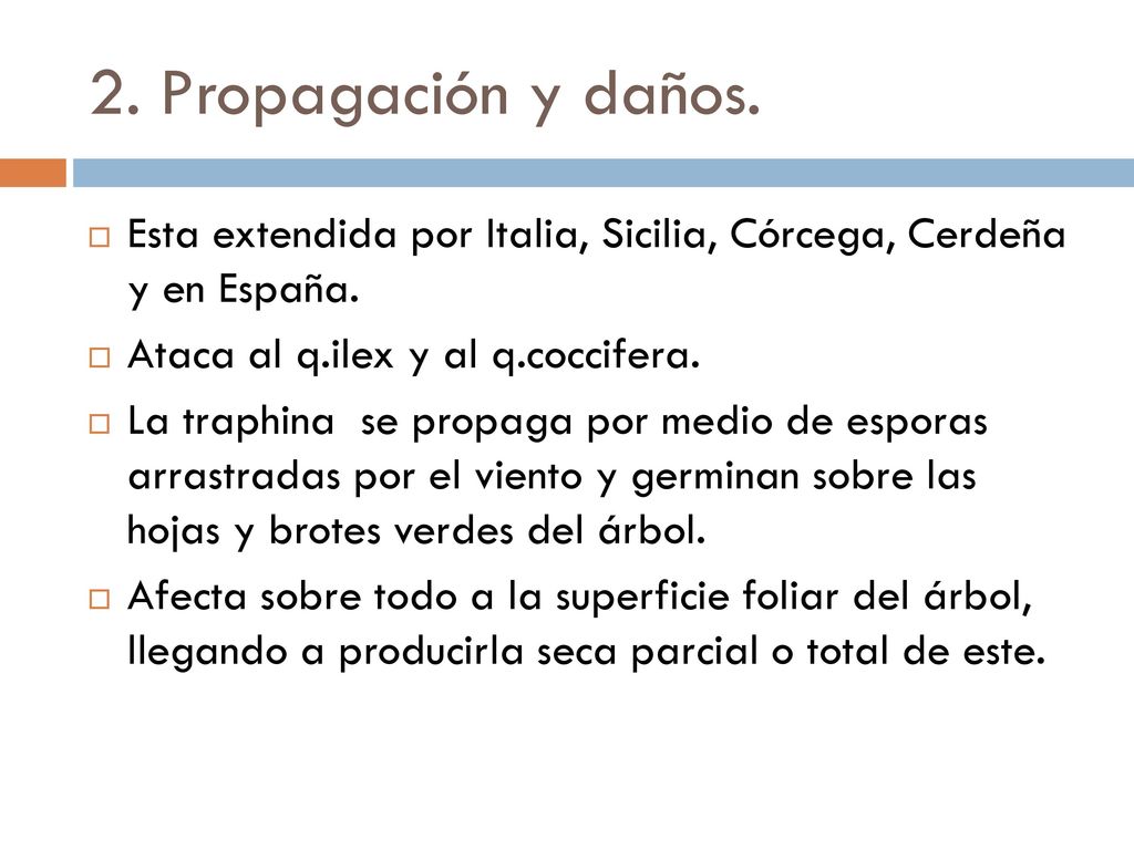 2. Propagación y daños. Esta extendida por Italia, Sicilia, Córcega, Cerdeña y en España. Ataca al q.ilex y al q.coccifera.