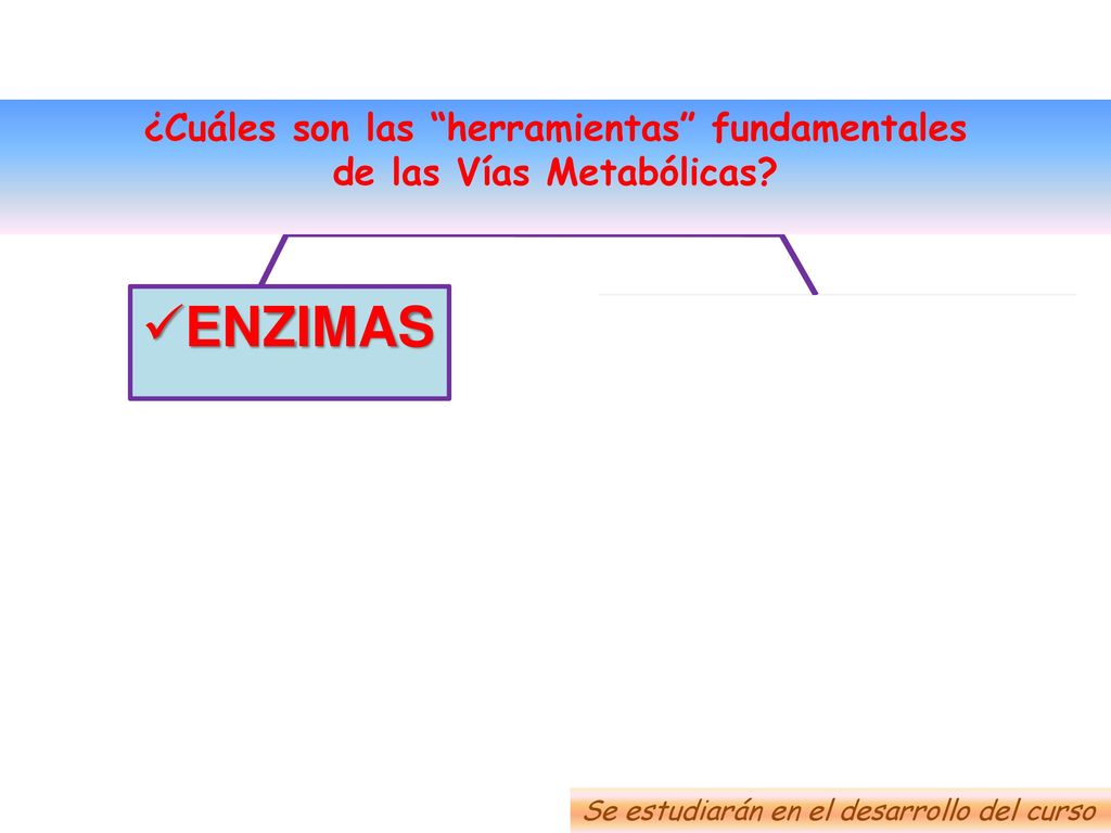 Esquemas de distintos tipos de Vías Metabólicas