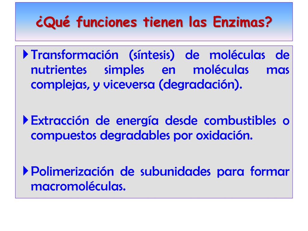 Las enzimas deben ser sintetizadas correctamente, con las estructuras proteicas: primaria, secundaria, terciaria y cuaternaria si la tuviera