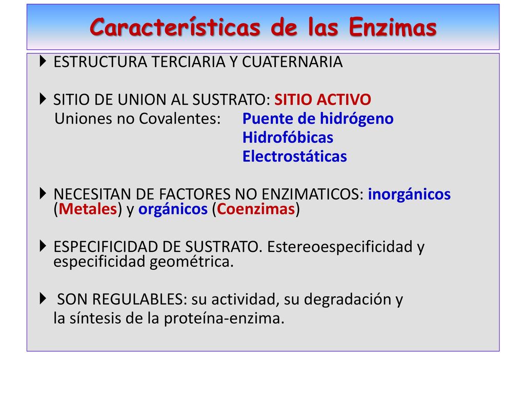 ¿Cómo se clasifican las enzimas -Según la reacción que catalizan-