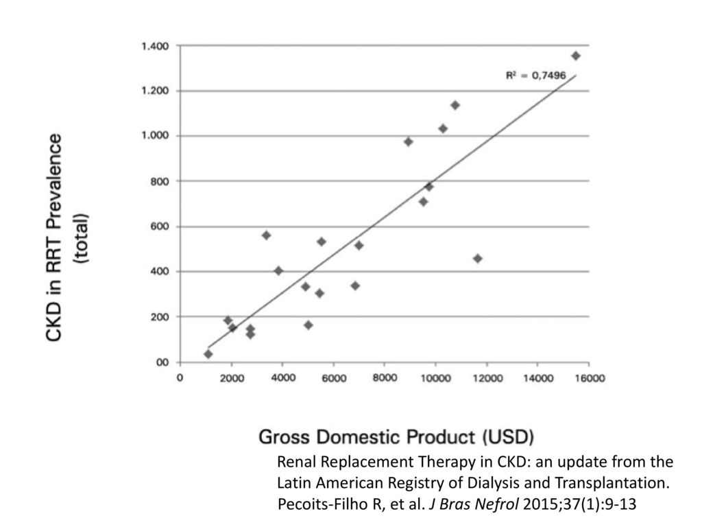 Renal Replacement Therapy in CKD: an update from the Latin American Registry of Dialysis and Transplantation.