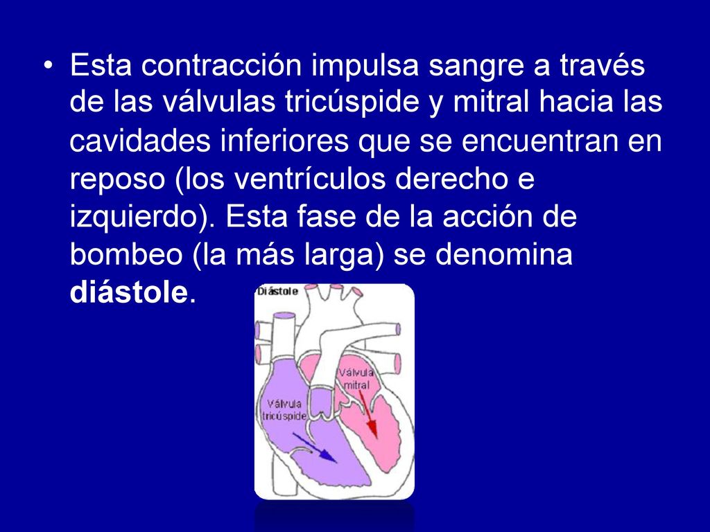 • Esta contracción impulsa sangre a través. de las válvulas tricúspide y mitral hacia las. cavidades inferiores que se encuentran.
