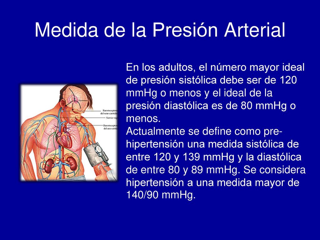 Medida de la Presión Arterial En los adultos, el número mayor ideal