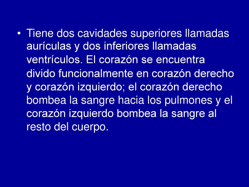 • Tiene dos cavidades superiores llamadas. aurículas y dos inferiores llamadas. ventrículos. El corazón se encuentra.