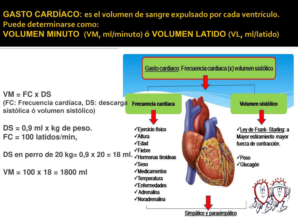 GASTO CARDÍACO: es el volumen de sangre expulsado por cada ventrículo