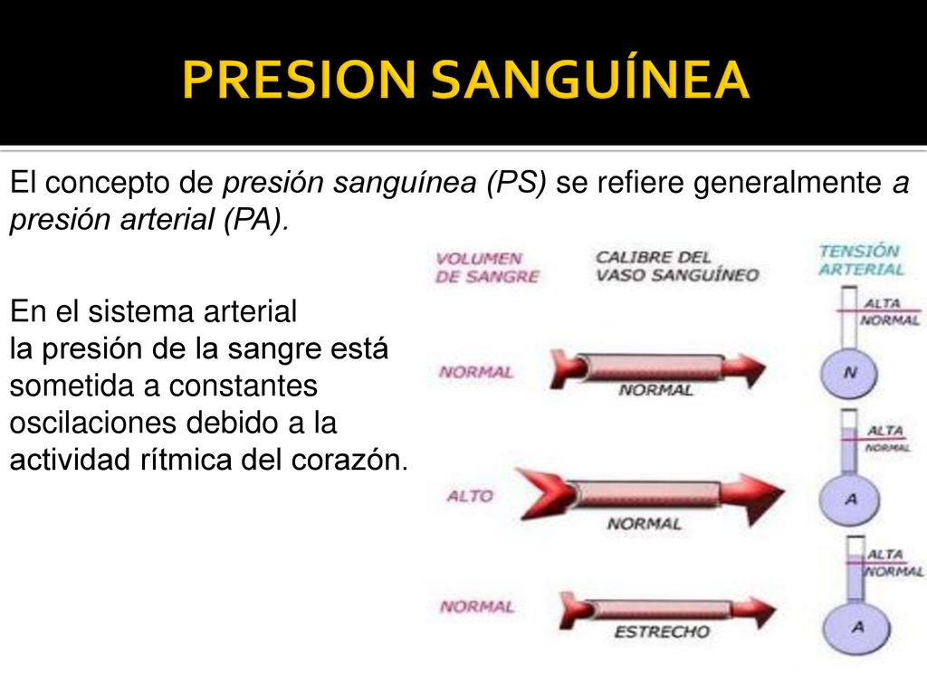 PRESION SANGUÍNEA El concepto de presión sanguínea (PS) se refiere generalmente a presión arterial (PA).