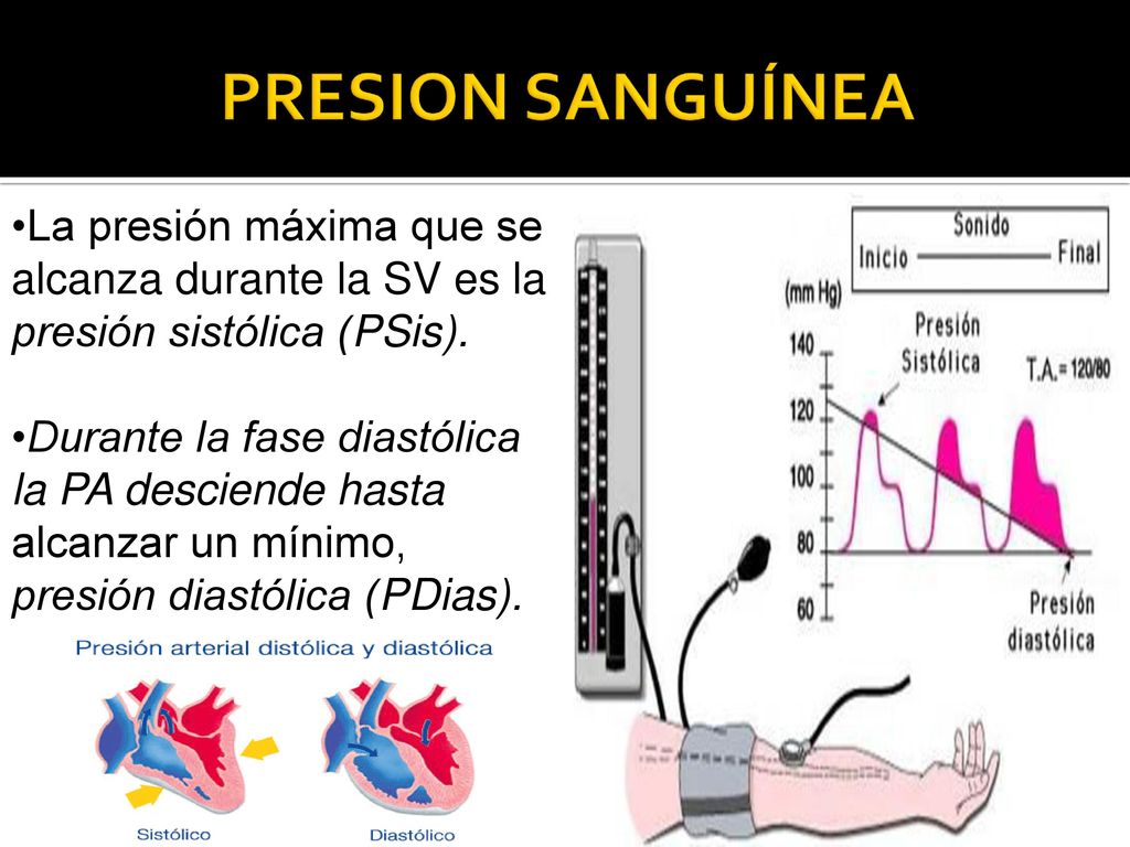 PRESION SANGUÍNEA La presión máxima que se alcanza durante la SV es la presión sistólica (PSis).
