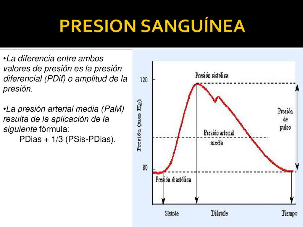 PRESION SANGUÍNEA La diferencia entre ambos valores de presión es la presión diferencial (PDif) o amplitud de la presión.