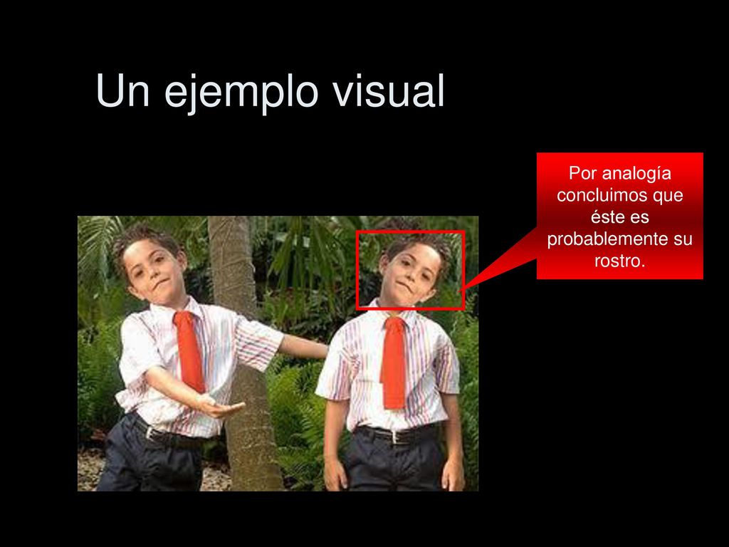 Por analogía concluimos que éste es probablemente su rostro.