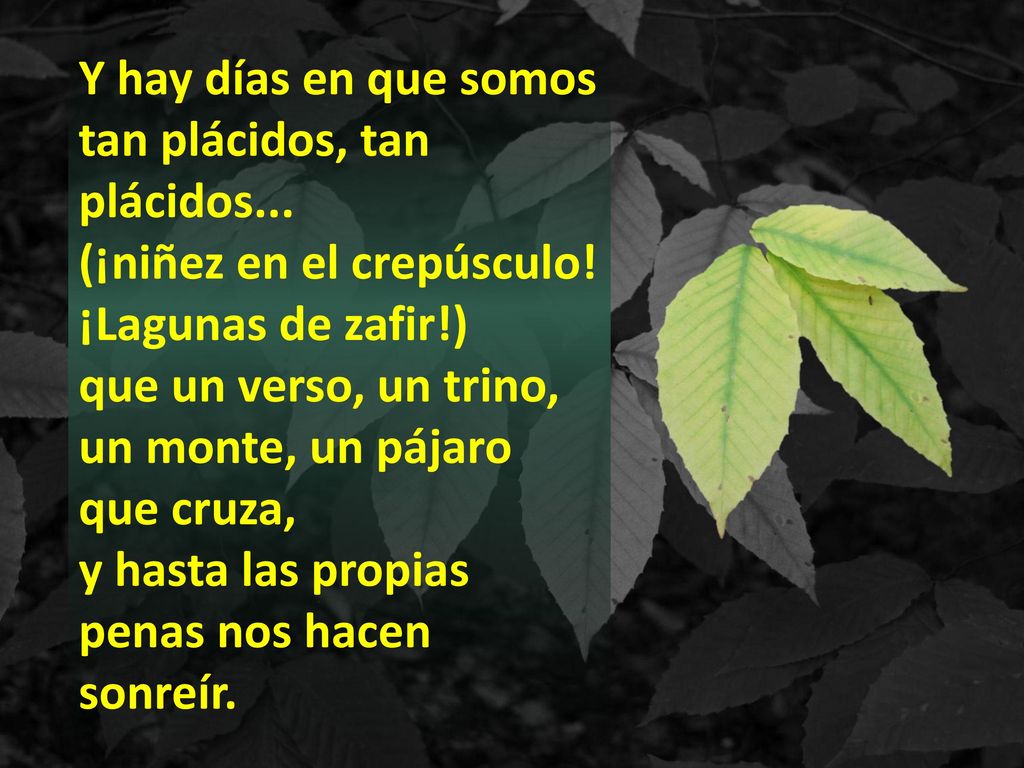 Y hay días en que somos tan plácidos, tan plácidos