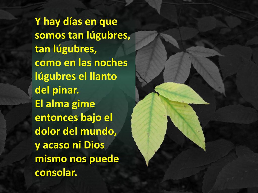 Y hay días en que somos tan lúgubres, tan lúgubres, como en las noches lúgubres el llanto del pinar. El alma gime entonces bajo el dolor del mundo, y acaso ni Dios mismo nos puede consolar.