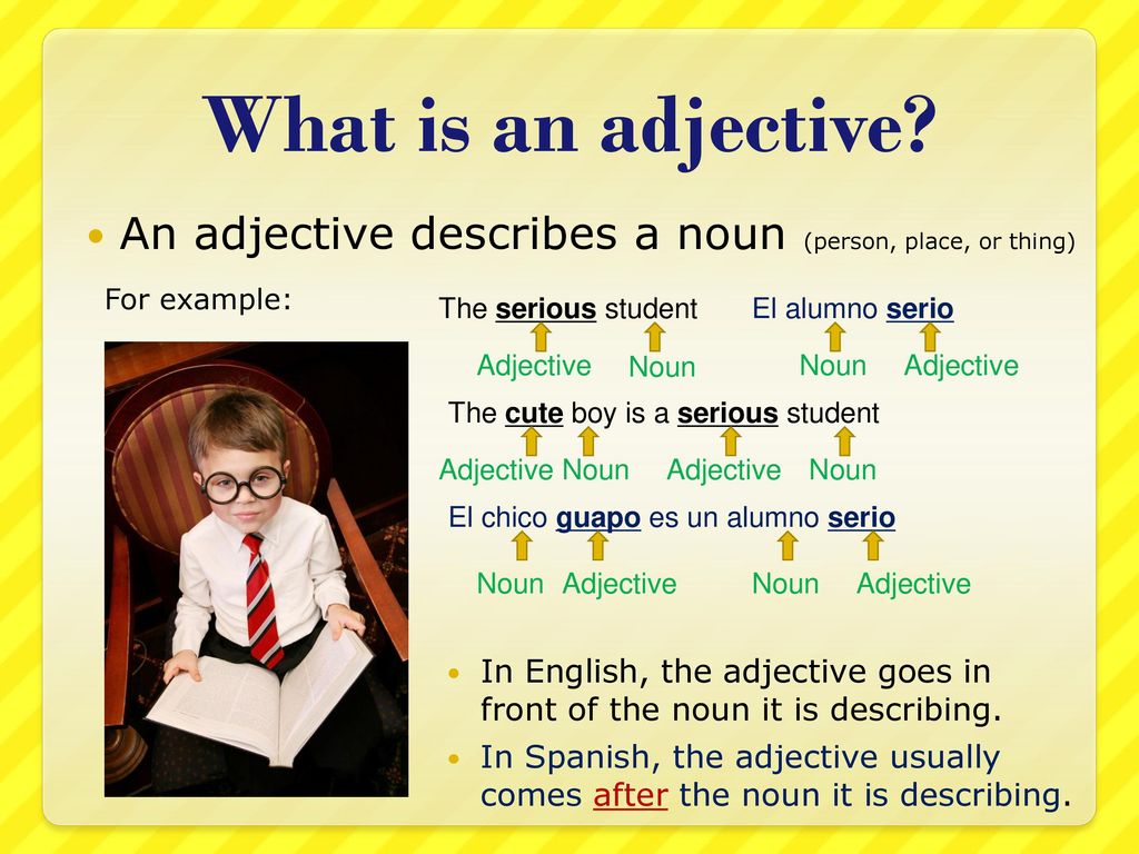 What is an adjective An adjective describes a noun (person, place, or thing) For example: The serious student.