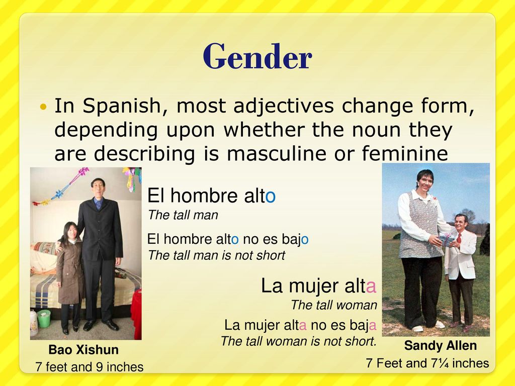 Gender In Spanish, most adjectives change form, depending upon whether the noun they are describing is masculine or feminine.