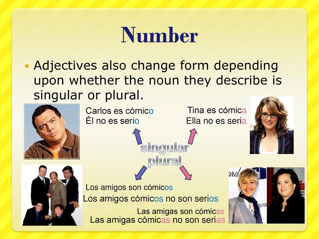 Number Adjectives also change form depending upon whether the noun they describe is singular or plural.