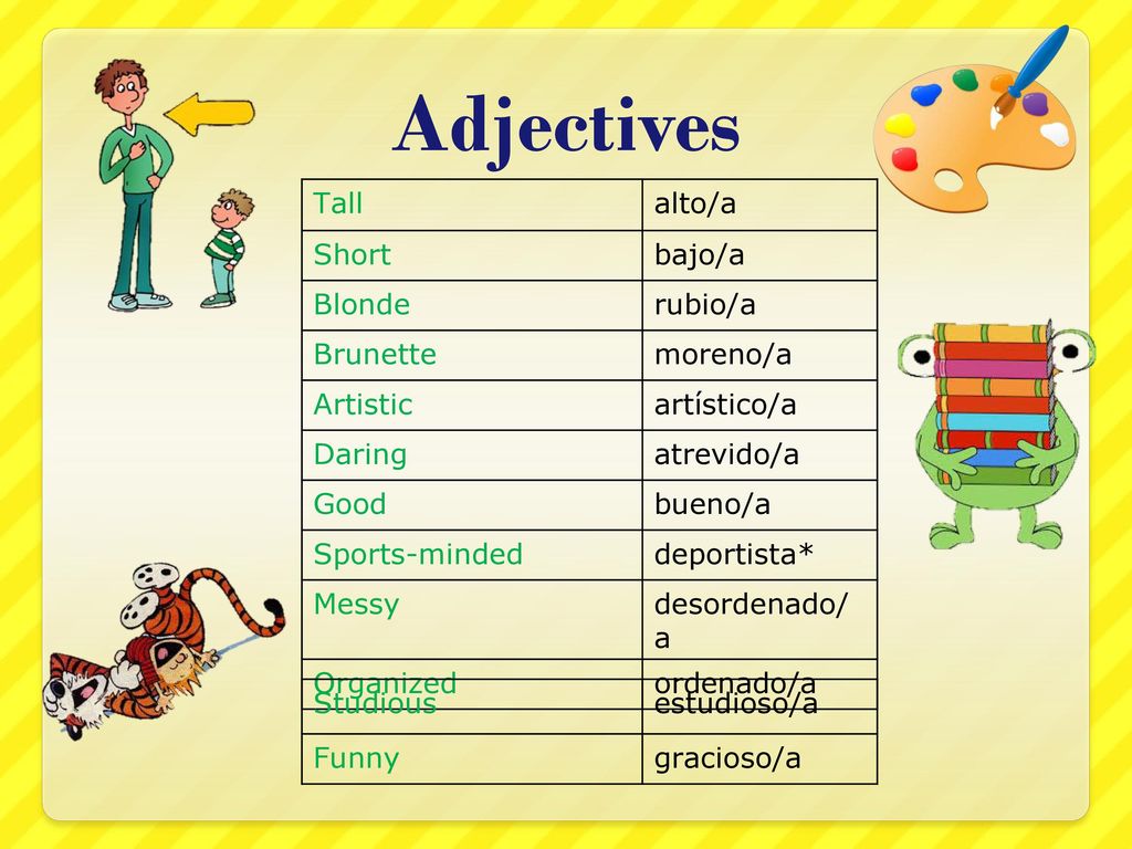 Adjectives Tall alto/a Short bajo/a Blonde rubio/a Brunette moreno/a