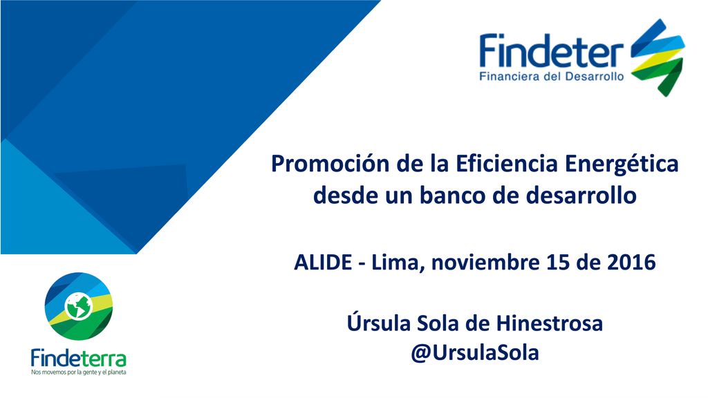 Promoción de la Eficiencia Energética desde un banco de desarrollo