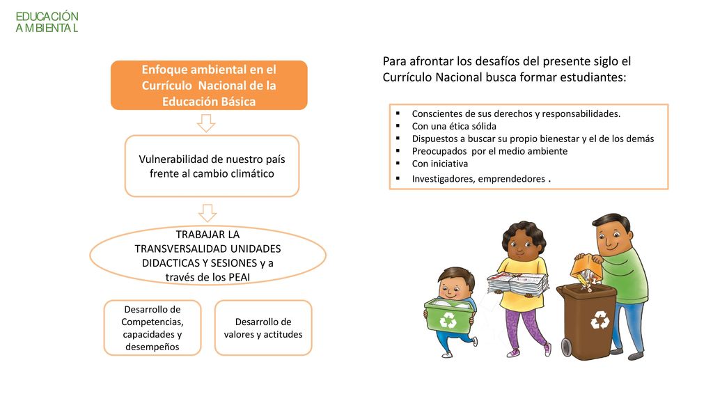 Enfoque ambiental en el Currículo Nacional de la Educación Básica