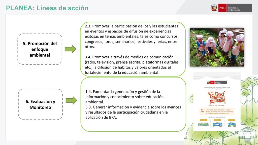 5. Promoción del enfoque ambiental 6. Evaluación y Monitoreo