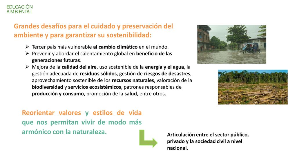 Grandes desafíos para el cuidado y preservación del ambiente y para garantizar su sostenibilidad: