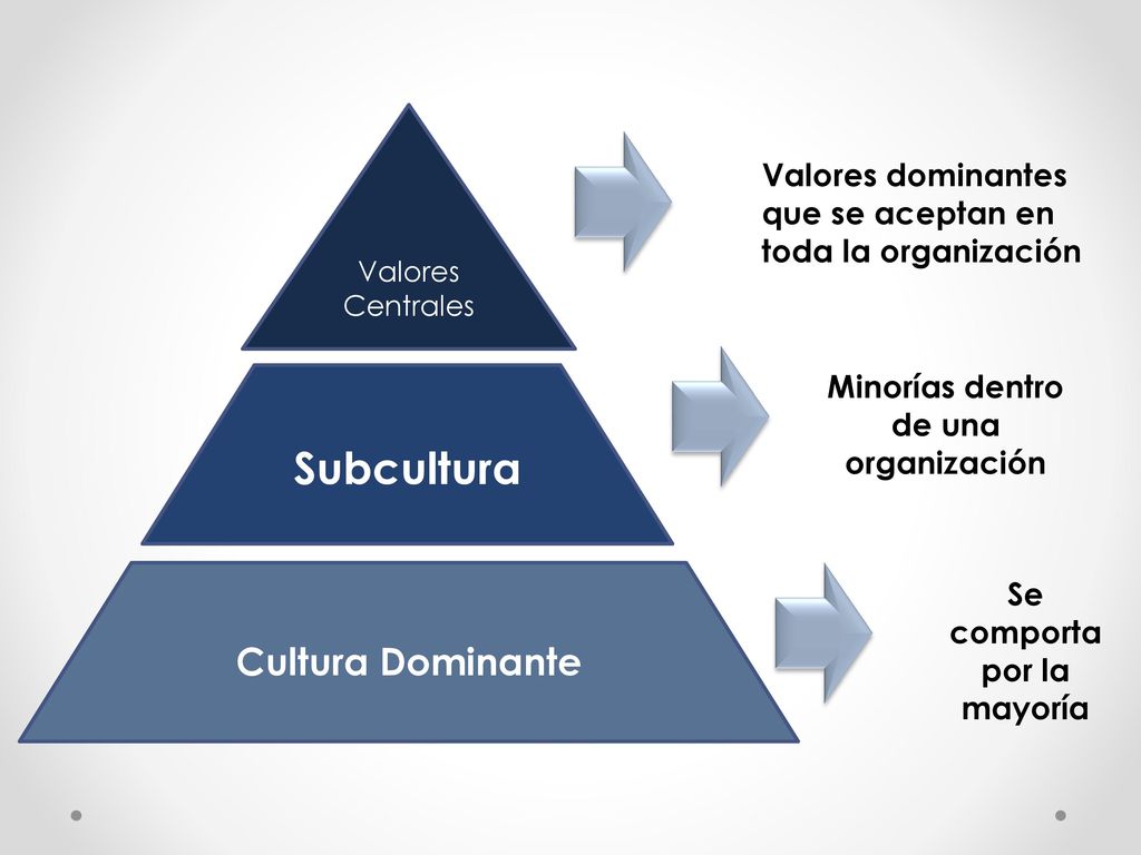 Minorías dentro de una organización Se comporta por la mayoría