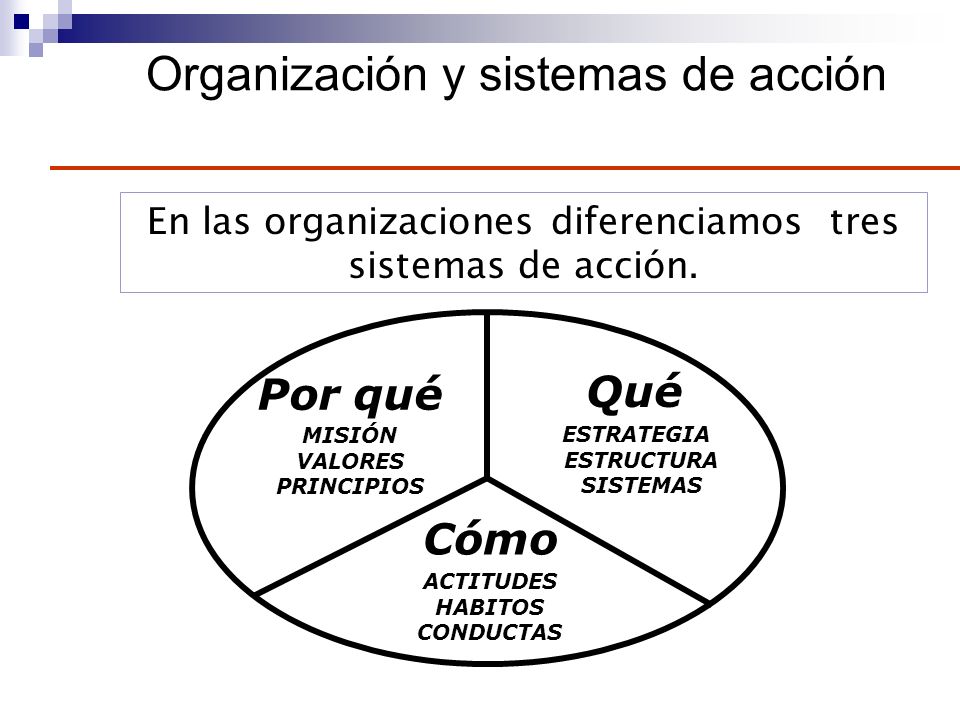 Organización y sistemas de acción