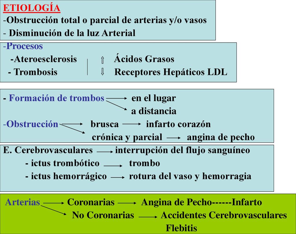 ETIOLOGÍA Obstrucción total o parcial de arterias y/o vasos. Disminución de la luz Arterial. Procesos.