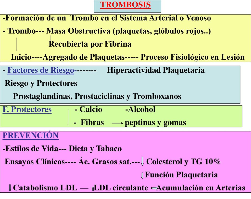 TROMBOSIS -Formación de un Trombo en el Sistema Arterial o Venoso. - Trombo--- Masa Obstructiva (plaquetas, glóbulos rojos..)