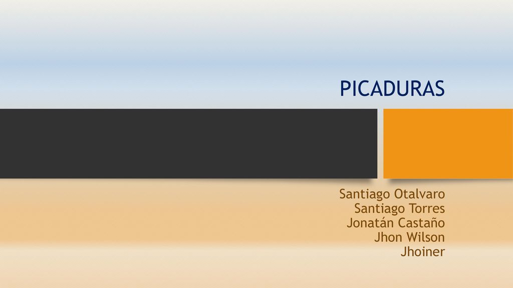 Santiago Otalvaro Santiago Torres Jonatán Castaño Jhon Wilson Jhoiner