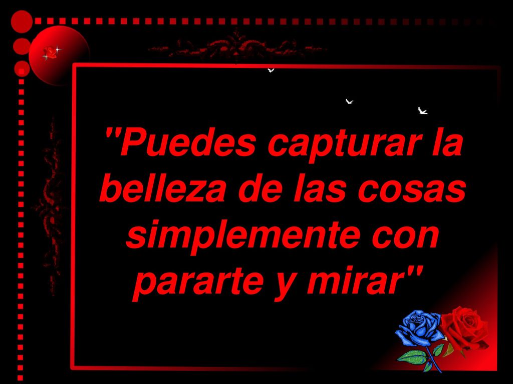 Puedes capturar la belleza de las cosas simplemente con pararte y mirar