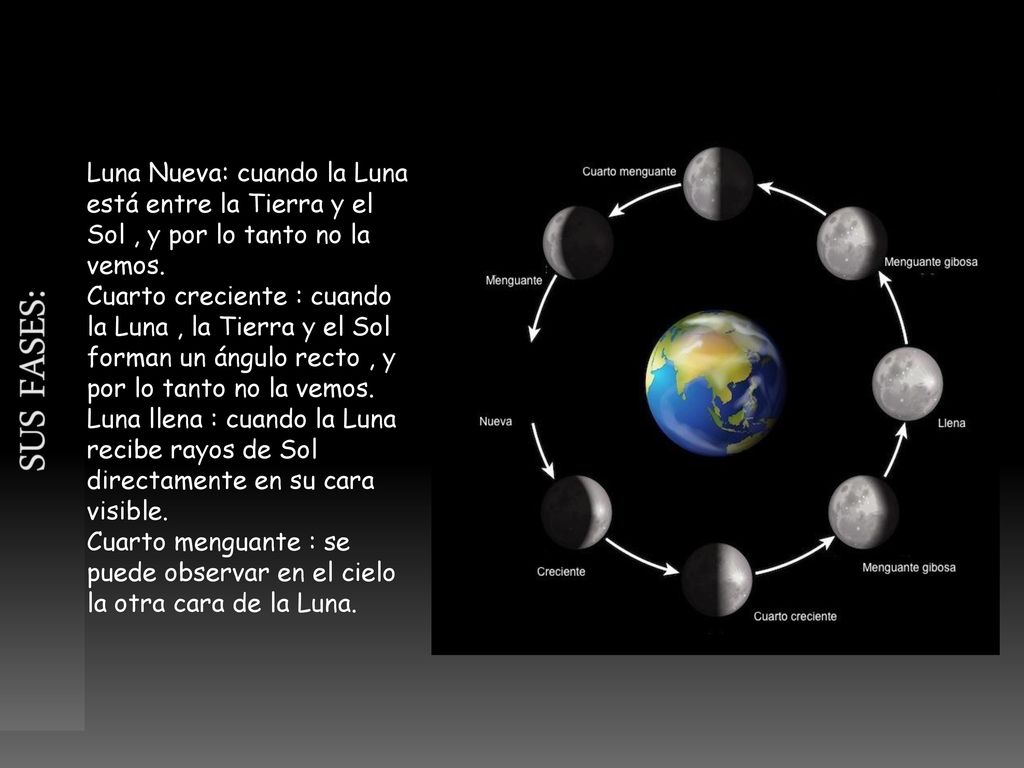 Sus fases: Luna Nueva: cuando la Luna está entre la Tierra y el Sol , y por lo tanto no la vemos.
