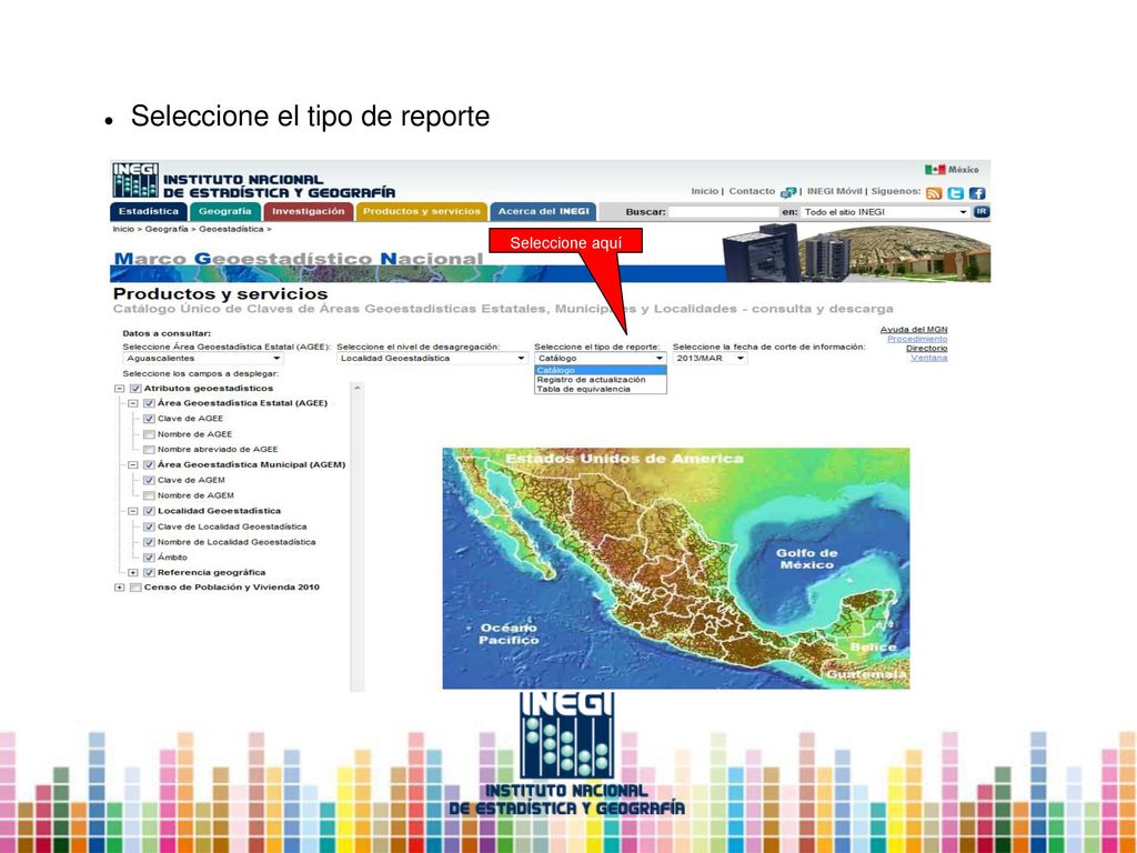 Seleccione el tipo de reporte