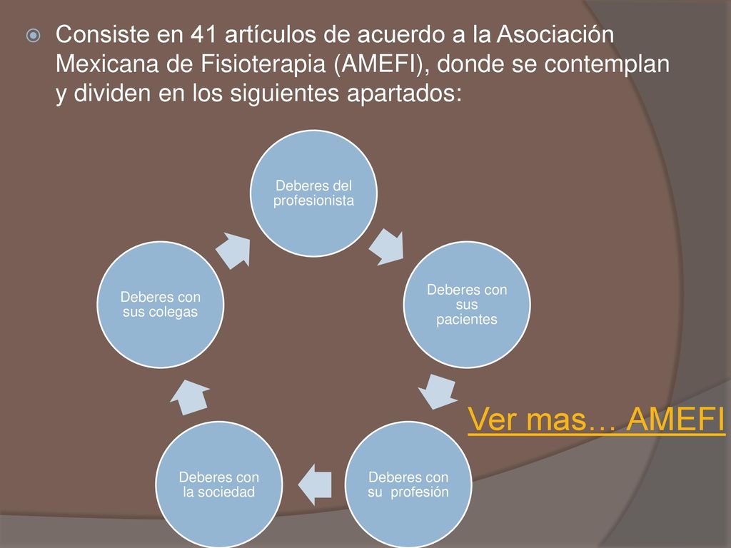 Consiste en 41 artículos de acuerdo a la Asociación Mexicana de Fisioterapia (AMEFI), donde se contemplan y dividen en los siguientes apartados: