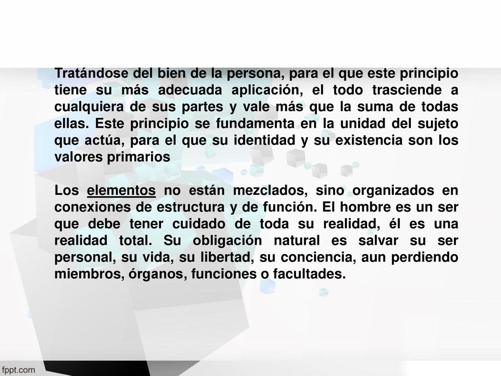 Tratándose del bien de la persona, para el que este principio tiene su más adecuada aplicación, el todo trasciende a cualquiera de sus partes y vale más que la suma de todas ellas. Este principio se fundamenta en la unidad del sujeto que actúa, para el que su identidad y su existencia son los valores primarios