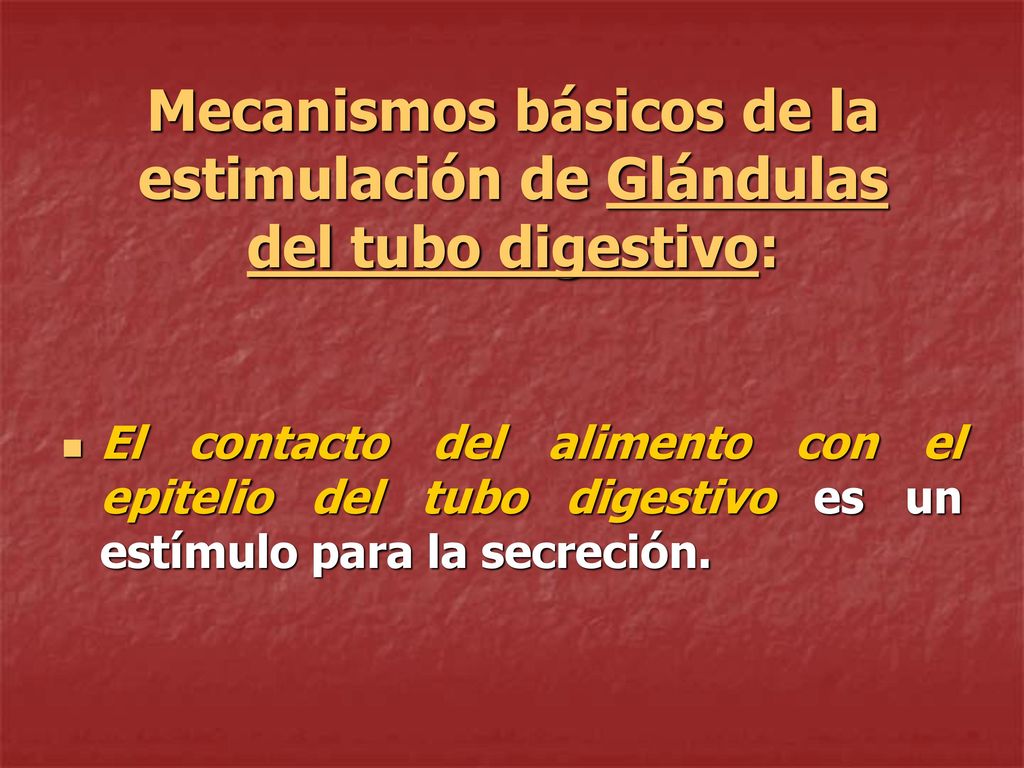 Mecanismos básicos de la estimulación de Glándulas del tubo digestivo: