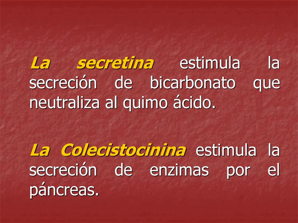 La Colecistocinina estimula la secreción de enzimas por el páncreas.