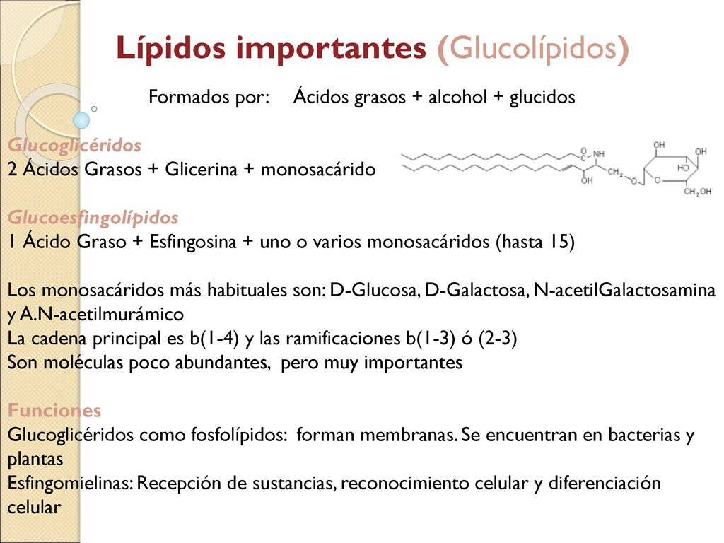 Formados por: Ácidos grasos + alcohol + glucidos