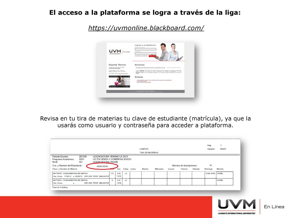 El acceso a la plataforma se logra a través de la liga:
