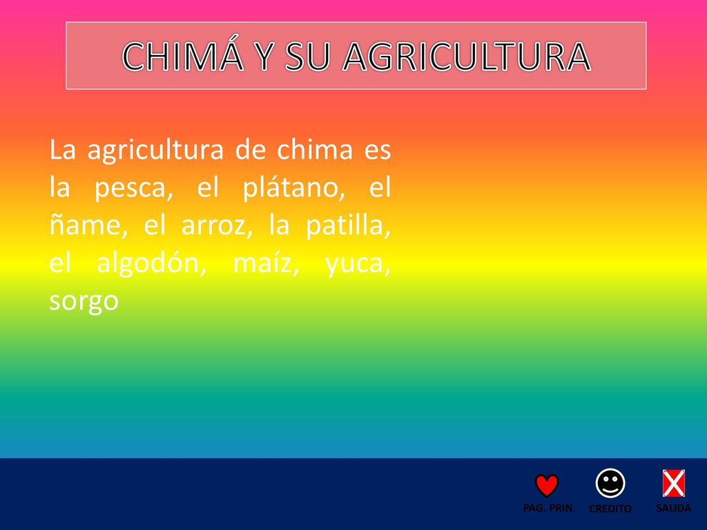 CHIMÁ Y SU AGRICULTURA La agricultura de chima es la pesca, el plátano, el ñame, el arroz, la patilla, el algodón, maíz, yuca, sorgo.