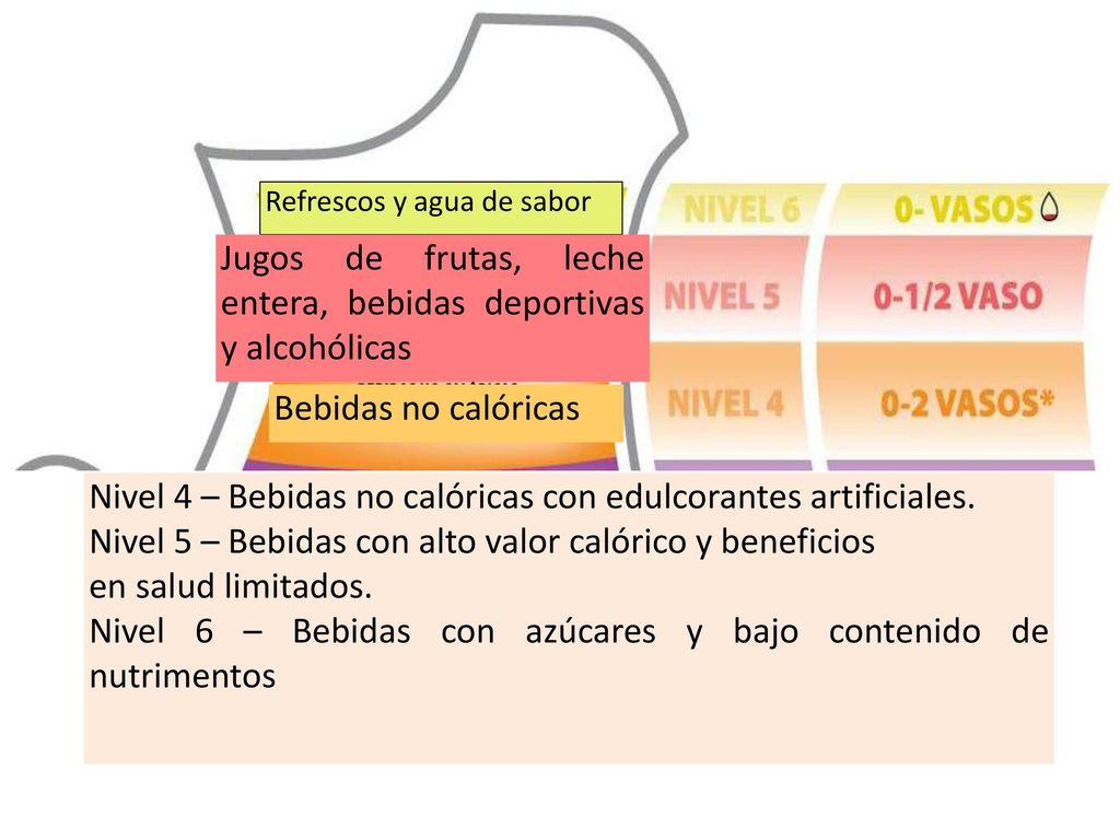 Nivel 4 – Bebidas no calóricas con edulcorantes artificiales.