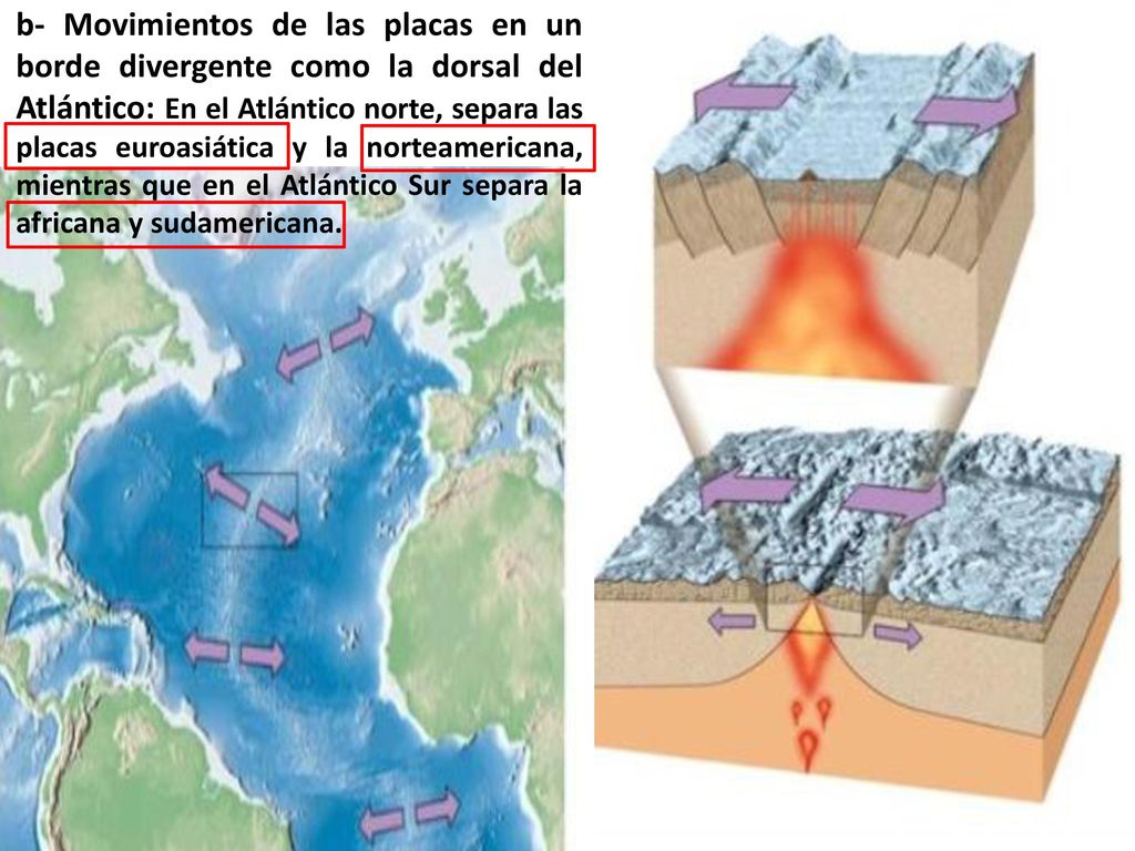 b- Movimientos de las placas en un borde divergente como la dorsal del Atlántico: En el Atlántico norte, separa las placas euroasiática y la norteamericana, mientras que en el Atlántico Sur separa la africana y sudamericana.