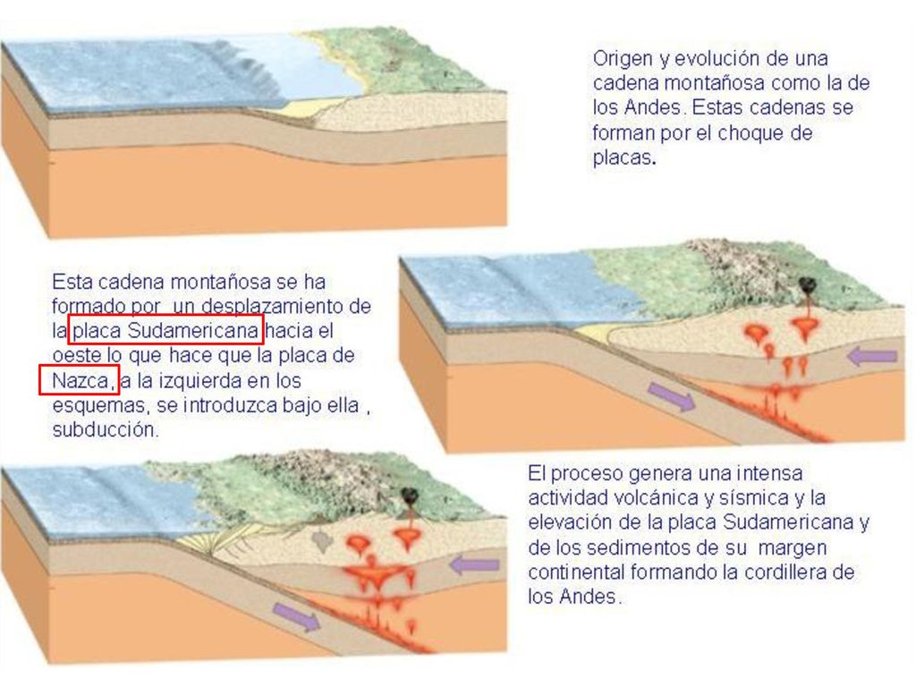 Atraviesa Argentina, Chile, Perú, Bolivia, Ecuador, Colombia y parte de Venezuela