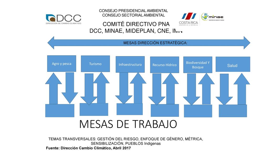MESAS DE TRABAJO COMITÉ DIRECTIVO PNA DCC, MINAE, MIDEPLAN, CNE, IMN
