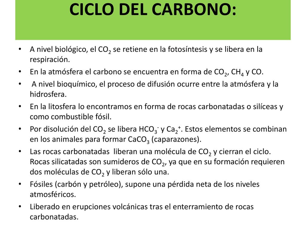 CICLO DEL CARBONO: A nivel biológico, el CO2 se retiene en la fotosíntesis y se libera en la respiración.