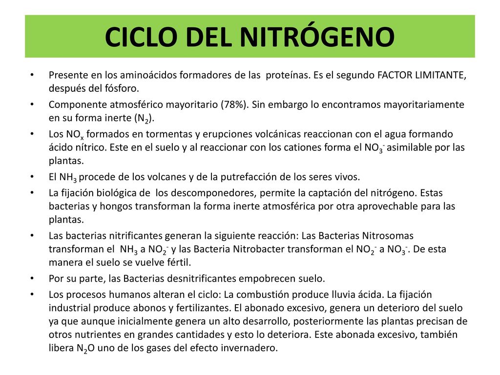 CICLO DEL NITRÓGENO Presente en los aminoácidos formadores de las proteínas. Es el segundo FACTOR LIMITANTE, después del fósforo.