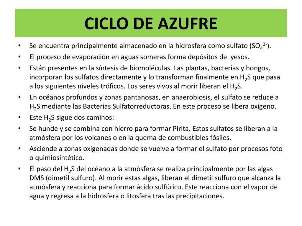 CICLO DE AZUFRE Se encuentra principalmente almacenado en la hidrosfera como sulfato (SO42-).